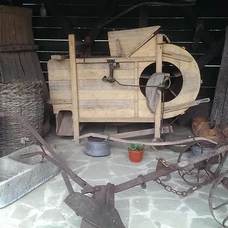 Resort Ethnocomplex *